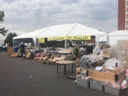 Denver Gem &amp; Mineral Show 2017