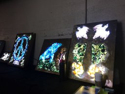 Denver Gem &amp; Mineral Show 2017