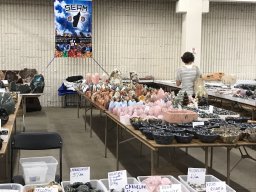 Denver Gem &amp; Mineral Show 2017