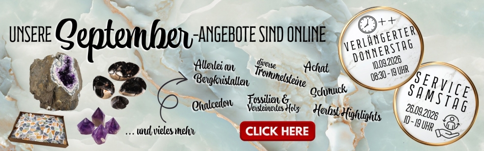 Angebot des Monats September 2026