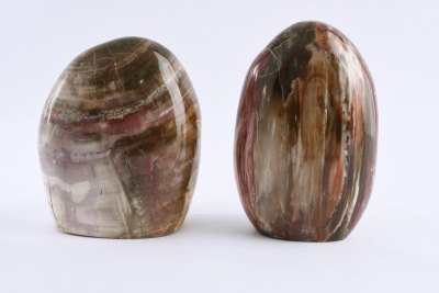 Petrified Wood Free Form Madagascar