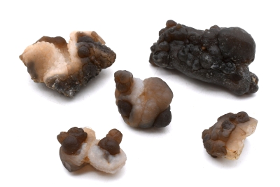 Achat Knollen Marokko