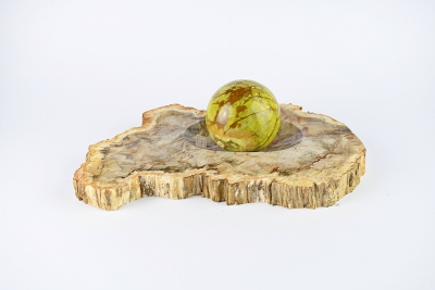 Petrified Wood Bowl Brazil