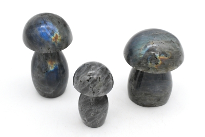 Labradorite mushrooms