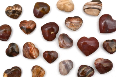 Versteinertes Holz Herz 20 - 40 mm