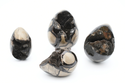 Septarie Wild Eier klein