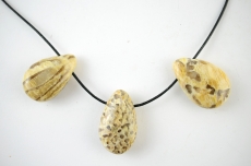 Zebra Feldspat Drop Shape gebohrt 5-er Set