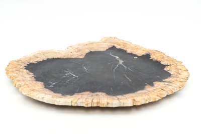 Petrified Wood Plate