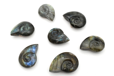 Labradorit Ammonit Shape