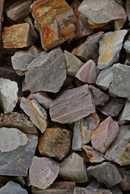Petrified wood rough stones