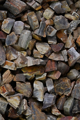 Versteinertes Holz Rohsteine klein