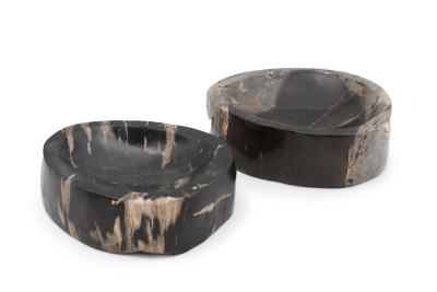 Petrified Wood Bowl Indonesia