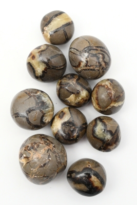 Septarie Trommelsteine Jumbo