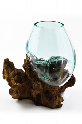 Dekoglas auf Kaffeestrauchwurzel (Gr��e M)