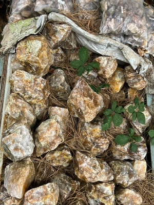 Bergkristall gelb (Golden Healer) Rohst�cke 1,5 - 3 kg / 25 kg