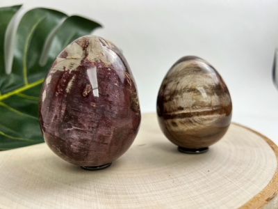 Petrified Wood Eggs