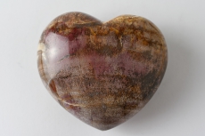 Versteinertes Holz Herz