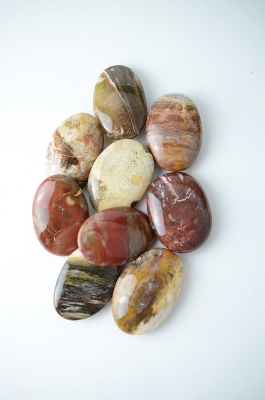 Versteinertes Holz Seifensteine