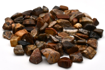 Petrified Wood Tumbled Stones