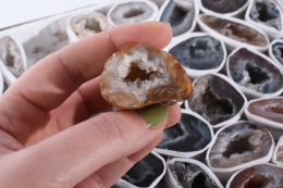 Achat Geoden Single Flat