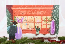 Adventskalender limited Edition 