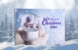 Adventskalender mit Mineralien und Fossilien