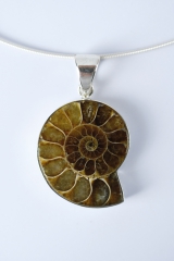 Ammonit Silber 925 Anh�nger (Preis pro Gramm)