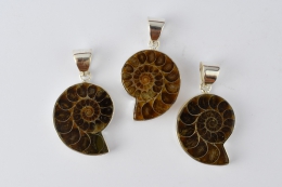 Ammonit Silber 925 Anh�nger (Preis pro Gramm)