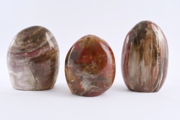 Petrified Wood Free Form Madagascar