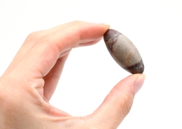 Shiva Lingam 40 - 60 mm