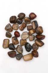 Versteinertes Holz trommelsteine