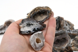 Achat Geodinos natur (klein)