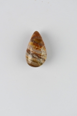 Versteinertes Holz Drop Shape gebohrt 5-er Set