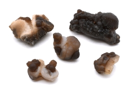 Achat Knollen Marokko