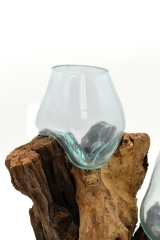 Decorative glass on coffee bush root with 2 glasses (Size XL)