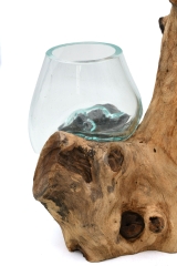 Decorative glass on coffee bush root with 2 glasses (Size XL)