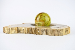 Petrified Wood Bowl Brazil