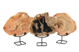Versteinertes Holz Scheibe auf Metallst�nder; Gr: S, M oder L
