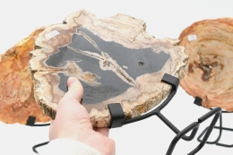 Versteinertes Holz Scheibe auf Metallst�nder; Gr: S, M oder L