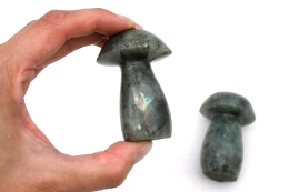 Labradorite mushrooms
