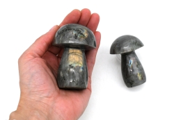 Labradorite mushrooms