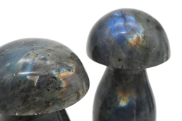 Labradorite mushrooms