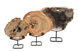 Petrified Wood Slice on Metal Stand; Size: S, M and L