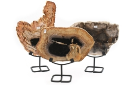 Versteinertes Holz Scheibe auf Metallst�nder; Gr: S, M oder L