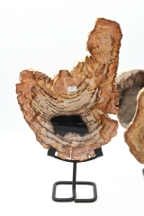 Versteinertes Holz Scheibe auf Metallst�nder; Gr: S, M oder L