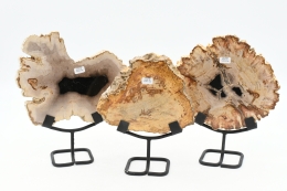 Versteinertes Holz Scheibe auf Metallst�nder; Gr: S, M oder L