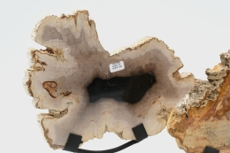 Versteinertes Holz Scheibe auf Metallst�nder; Gr: S, M oder L