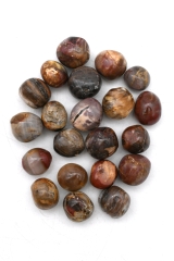 Petrified wood tumbled stones - rounded