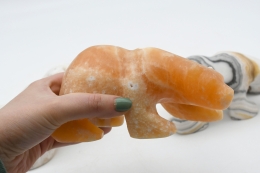 Aragonit mit Calcit B�r Gravur