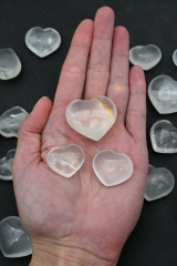 Girasol Herz 25 - 40 mm